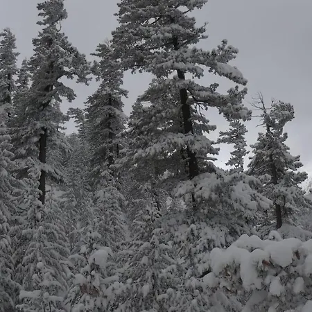 Asteri - Organic Food From Small Local Farms By Asteri Bansko