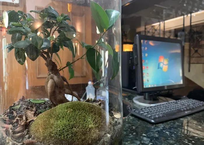 Asteri - Organic Food From Small Local Farms By Asteri 3*