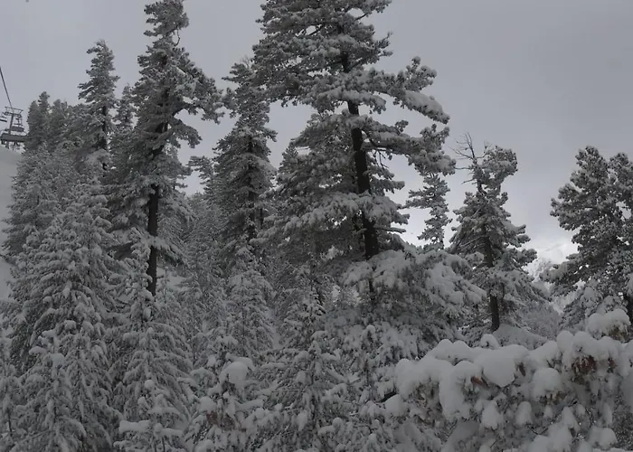 Asteri - Organic Food From Small Local Farms By Asteri Bansko